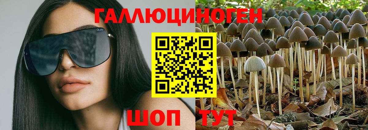 Королёв  Галлюциногенные грибы MAGIC MUSHROOMS  Вход с VPN 